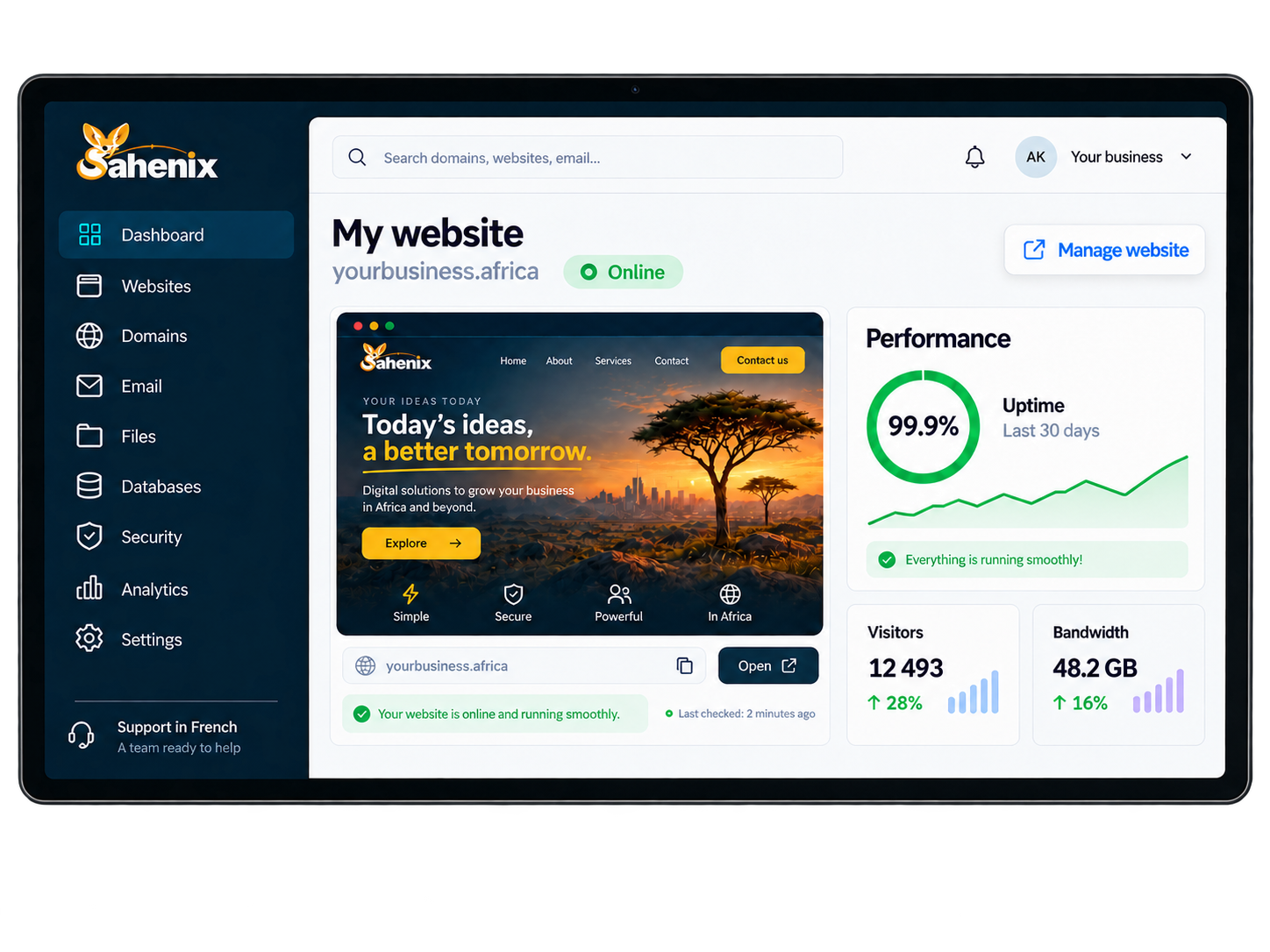 Illustrative hosting dashboard